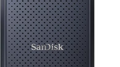 SanDisk Portable SSD 1 TB (External Hard Drive with SSD Technology 2.5 Inches, 800 MB/s Transfer Rates, Robust Drive, Robust Attachment Loop Made of Durable Rubber) Grey
