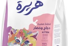 Horayra - طعام جاف للقطط الصغيرة (7 كجم) Horayra - Dry Food for Kittens (7 kg)