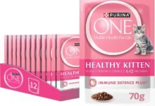 PURINA ONE Wet Healthy Kitten with Chicken 70g Pack of 12