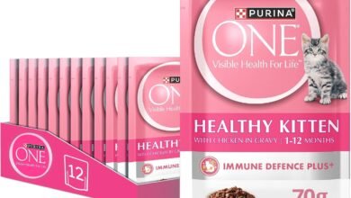 PURINA ONE Wet Healthy Kitten with Chicken 70g Pack of 12
